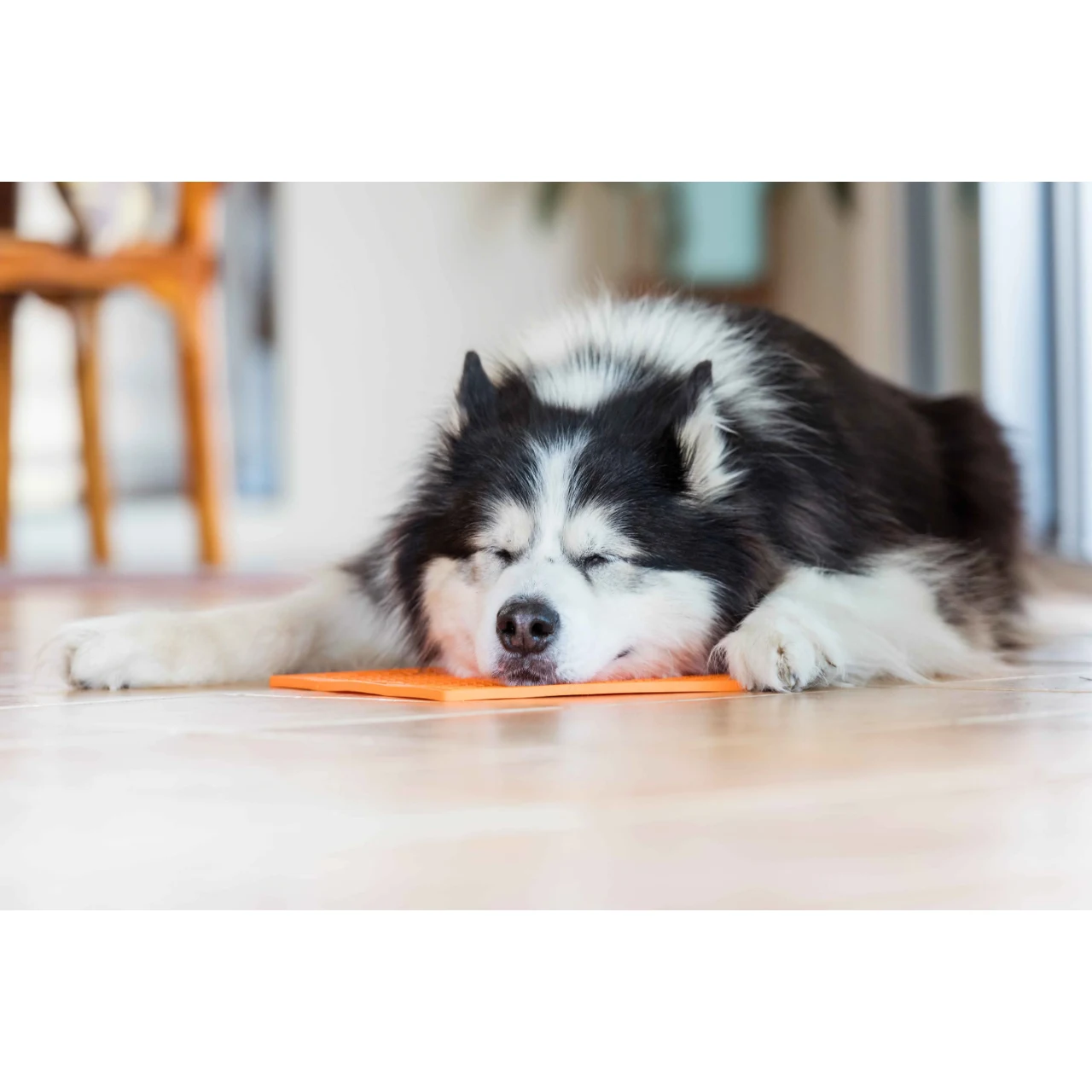 LickiMat Slikkemåtte 28 x 28 cm Orange - aktiveringsmåtte til hunde